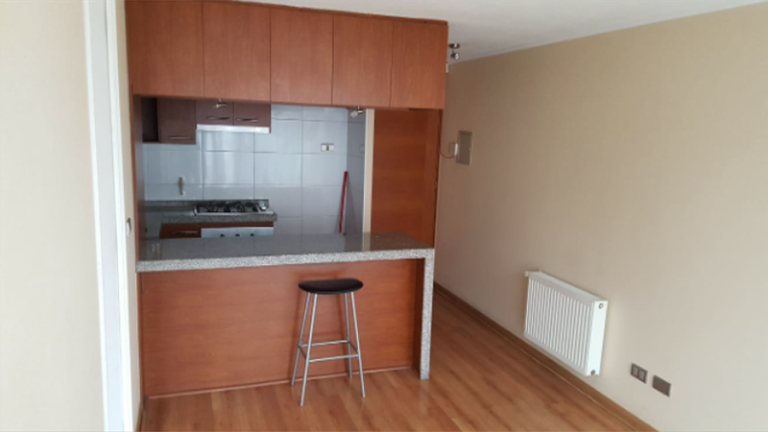 Departamento céntrico 1D 1B, Concepción